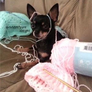 Meet your Posher, Jeanice